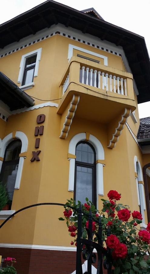 Pensiunea Onix Фегераш Екстер'єр фото