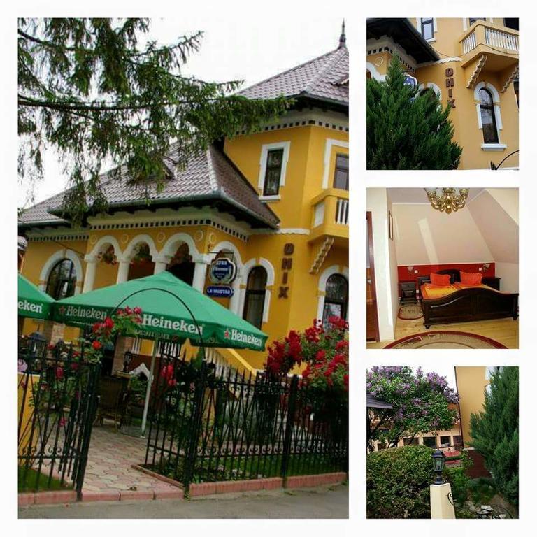 Pensiunea Onix Фегераш Екстер'єр фото
