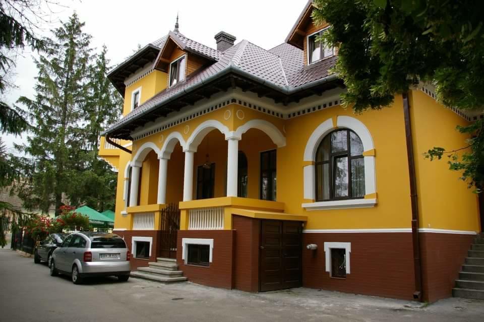 Pensiunea Onix Фегераш Екстер'єр фото