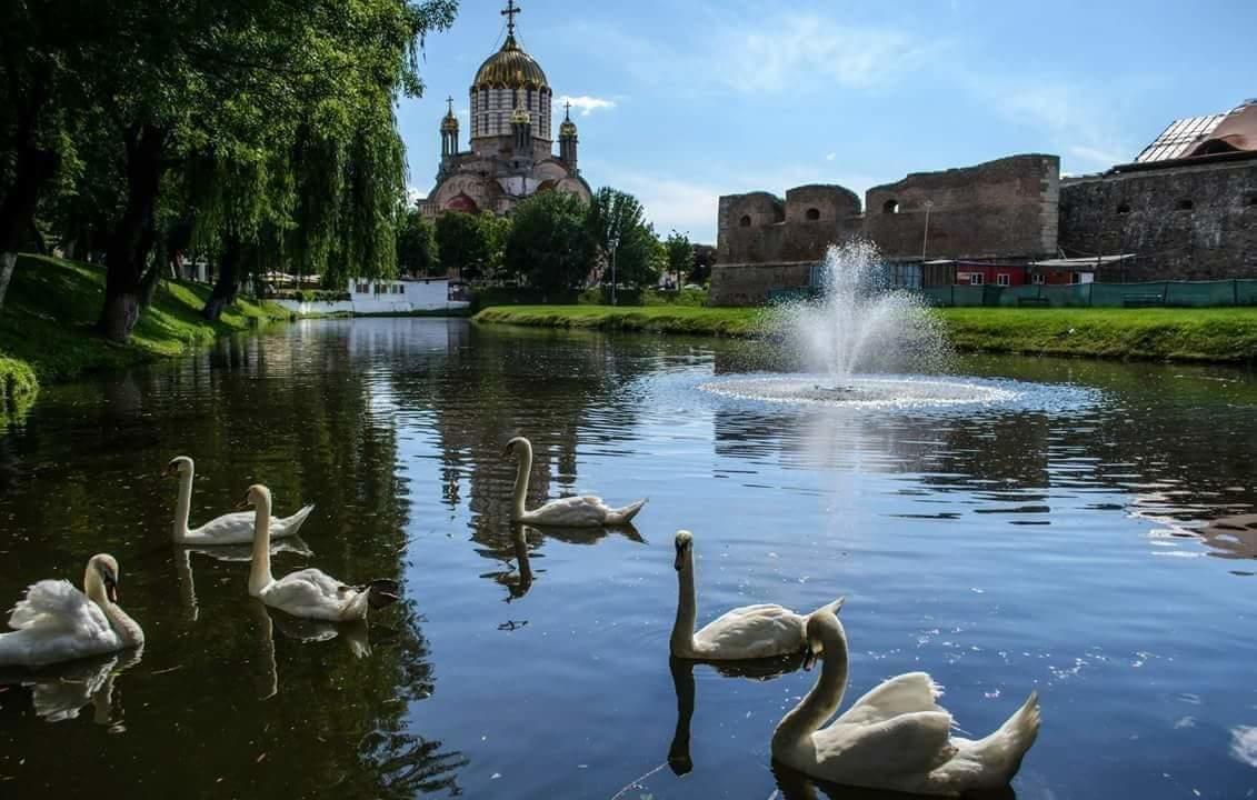 Pensiunea Onix Фегераш Екстер'єр фото