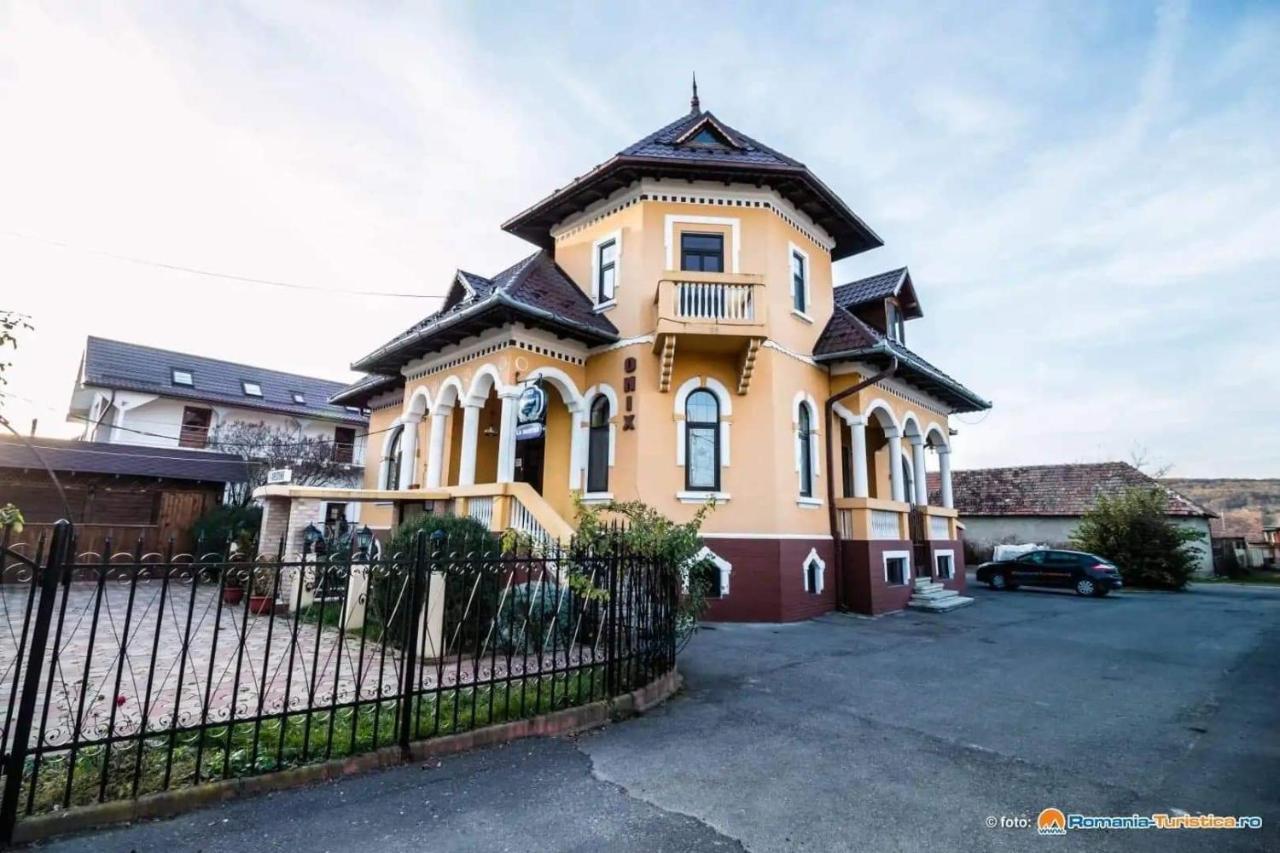Pensiunea Onix Фегераш Екстер'єр фото