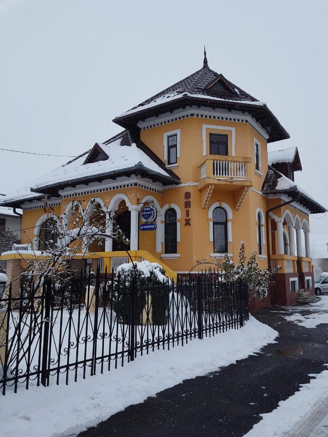 Pensiunea Onix Фегераш Екстер'єр фото